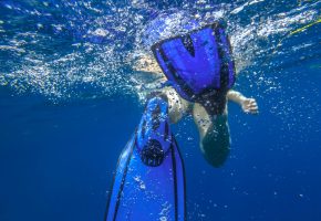 Animation palmes piscine du Petit Port